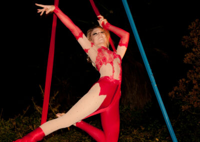 Aerial Dancer Houston