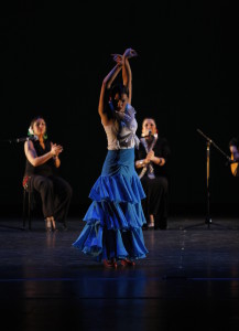 Alegria Dance _ Performing Arts Company(2)